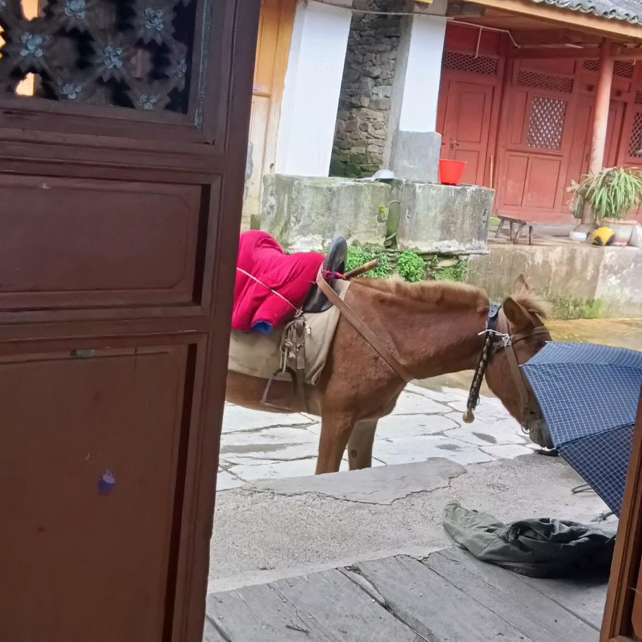 岔江口（牧羊哥）