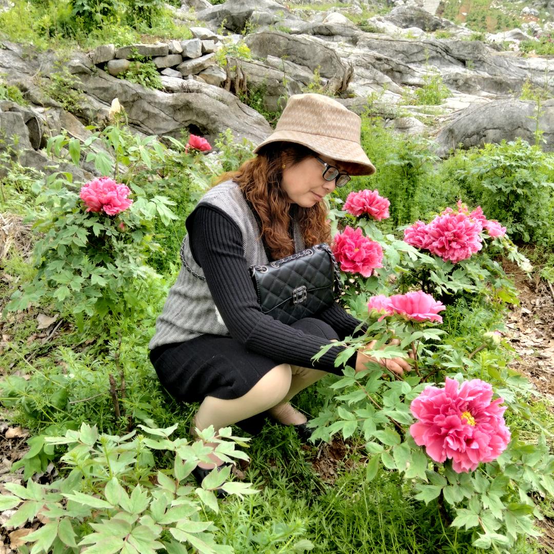 🍁秋天的落叶🍁