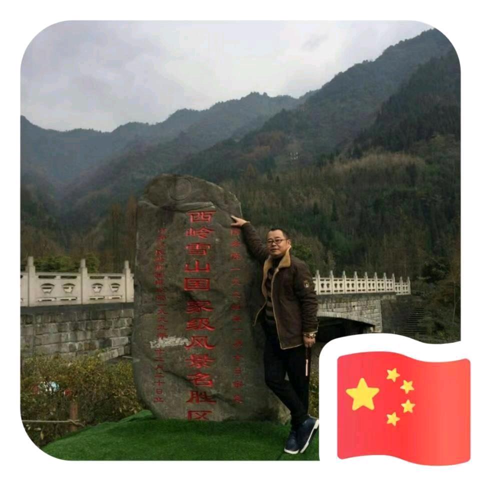 庆崽