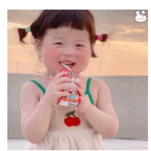 面条🍜里有花园