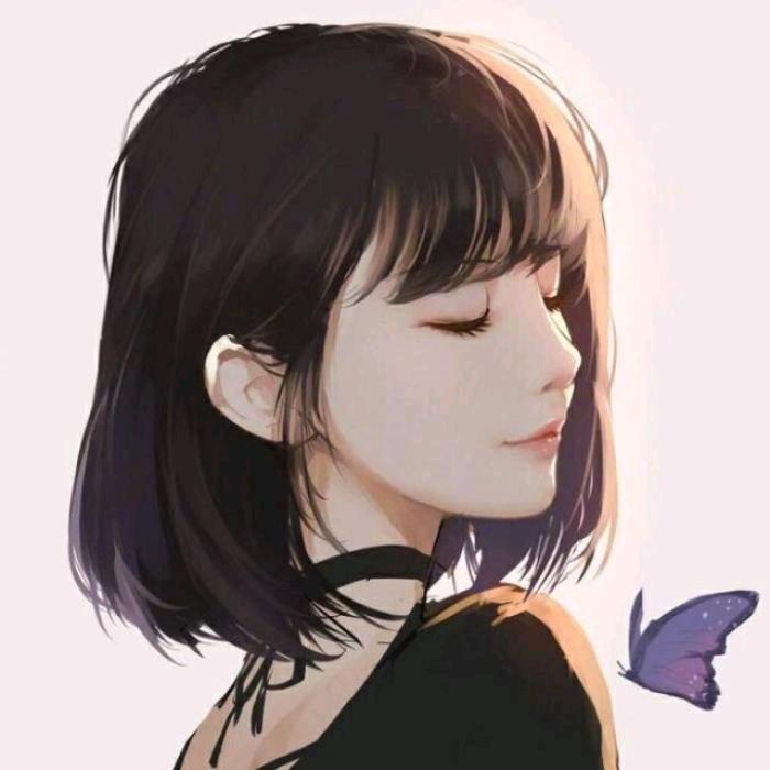 玫瑰花期