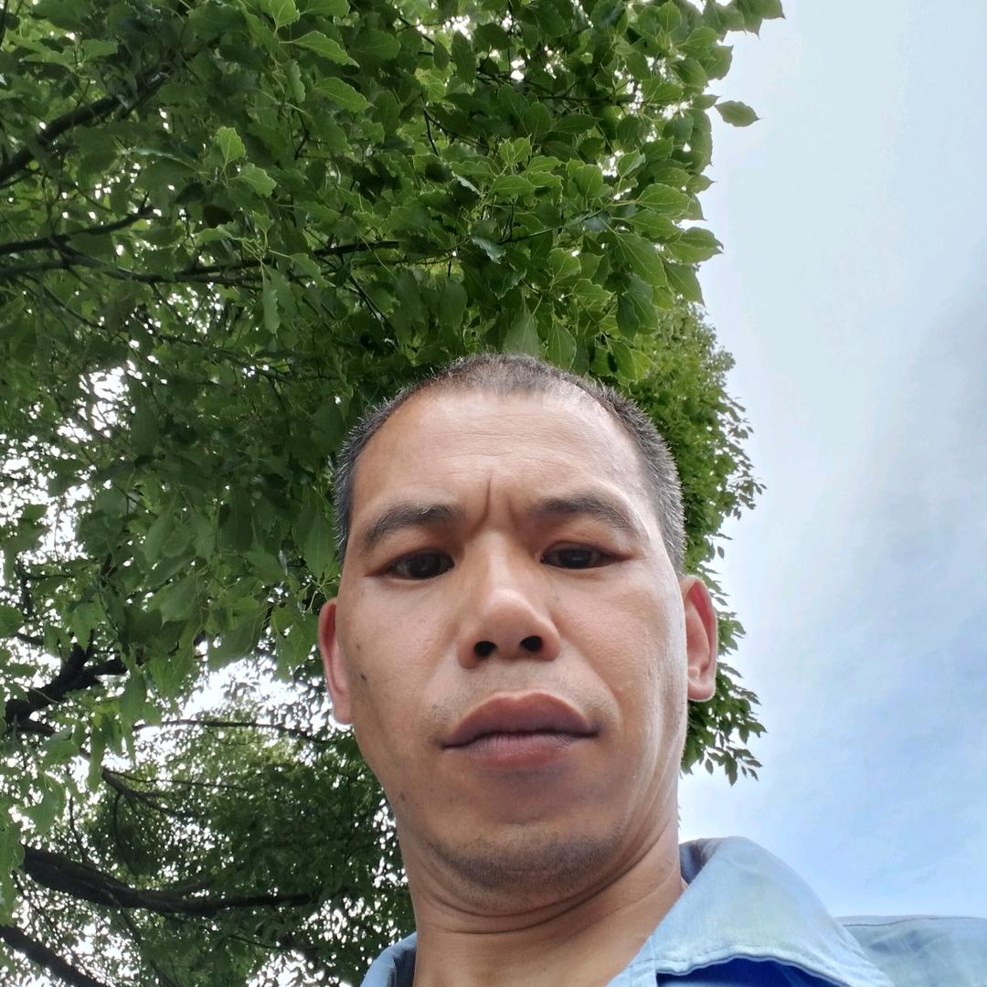 东北虎