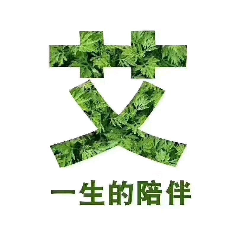 南阳艾灸官方号