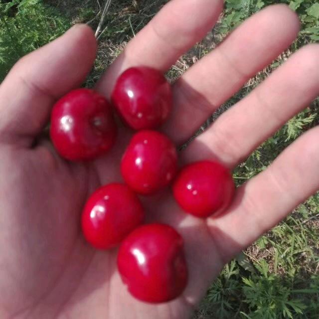 单手骑摩托1R7r