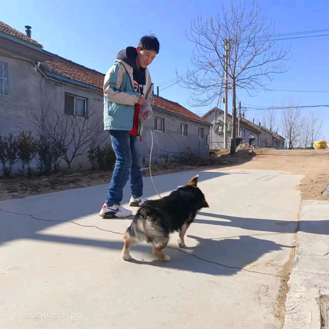 我是  姥姥