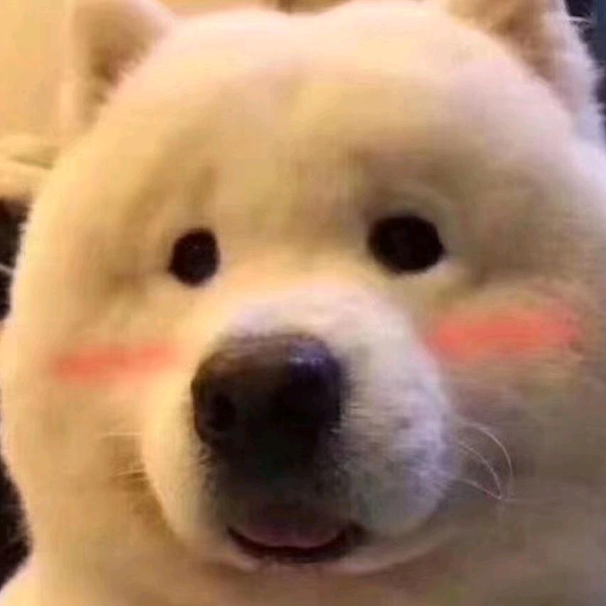 上班炒股