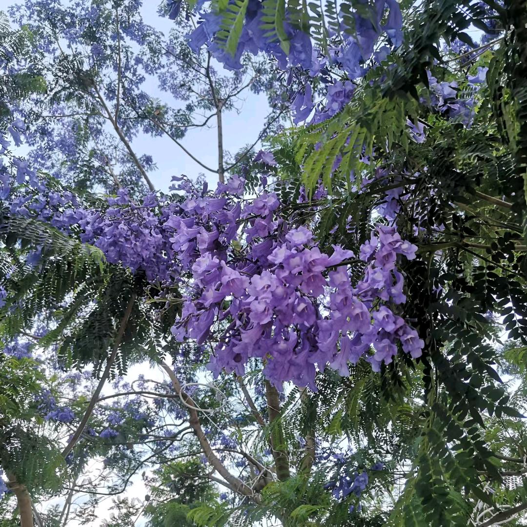 水与海