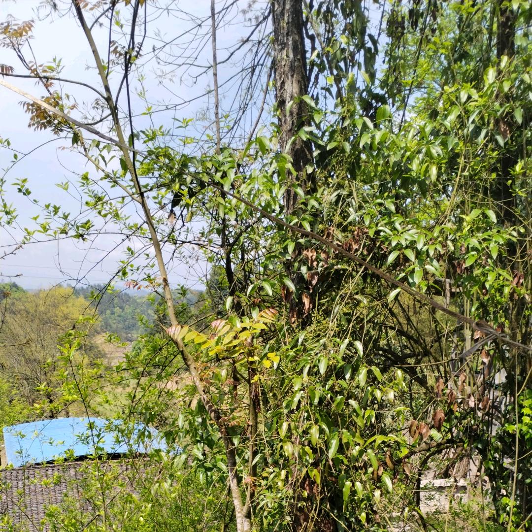 用户5845245518576