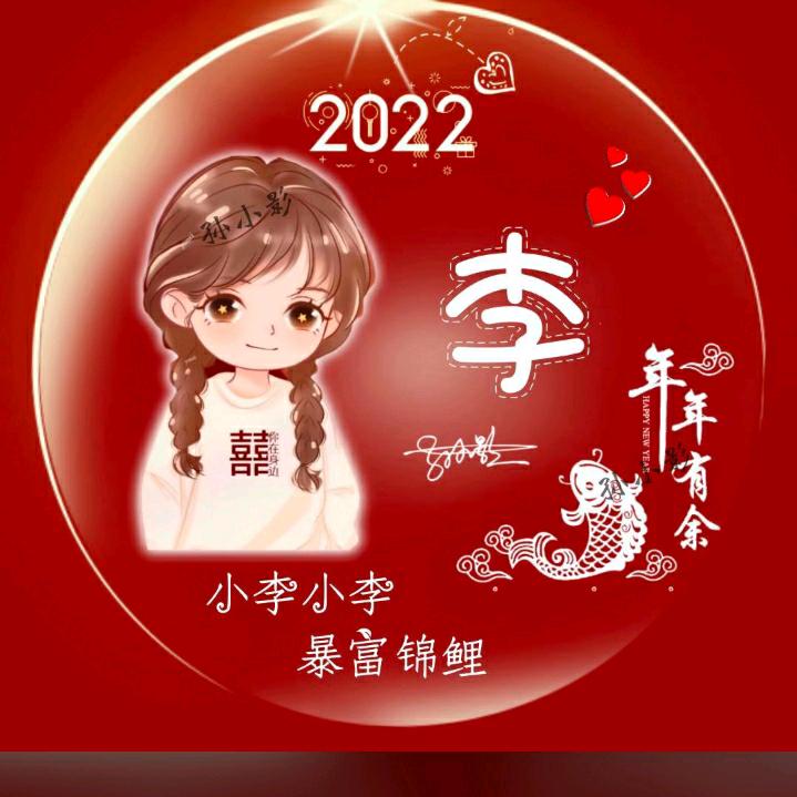 鸿雁飞飞