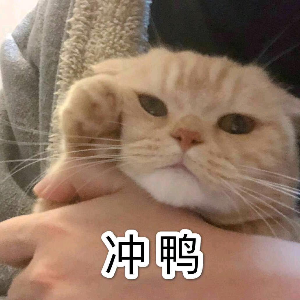 拔剑四顾