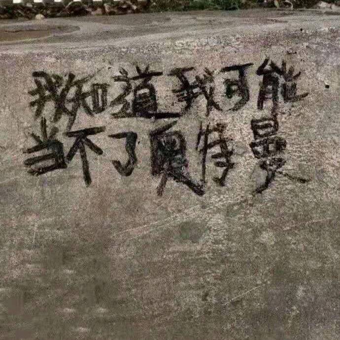 宇宙无敌超级暴龙战士。