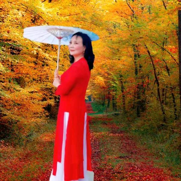 兰草花
