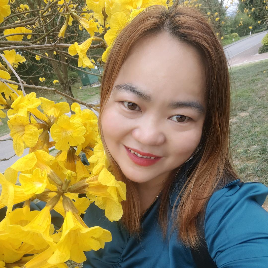 封心锁爱