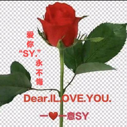 SY.l.LOVE.YOU.