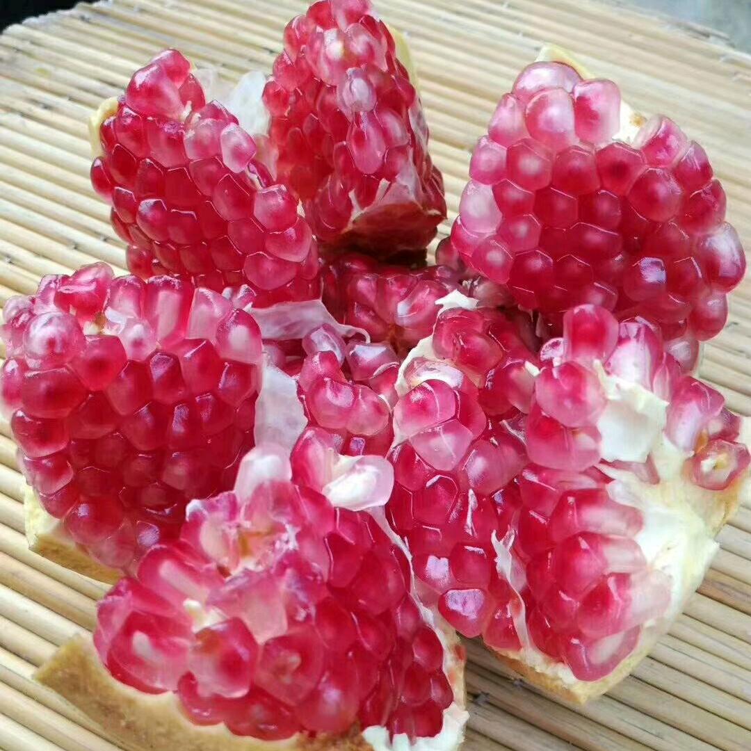 上善若水任方圆