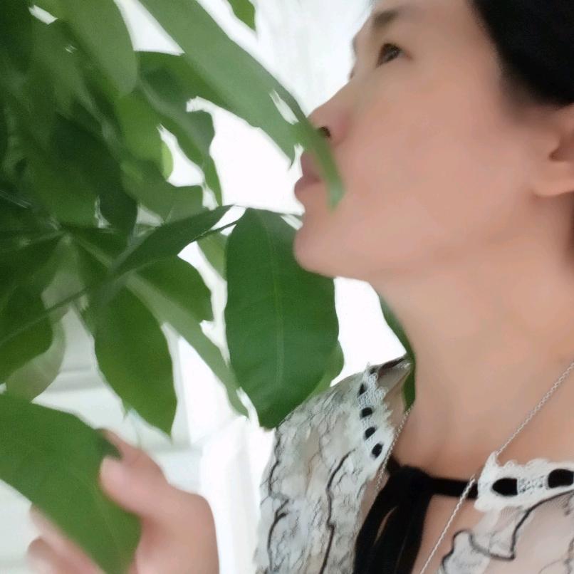 香梅