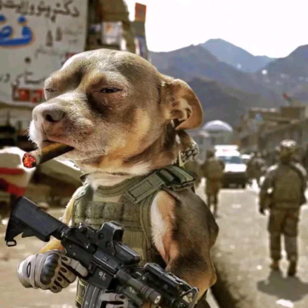 🌈东边太阳西边雨☔