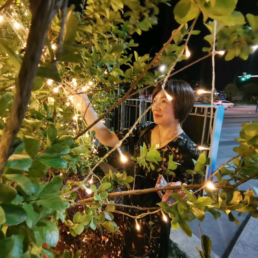 -珍珍