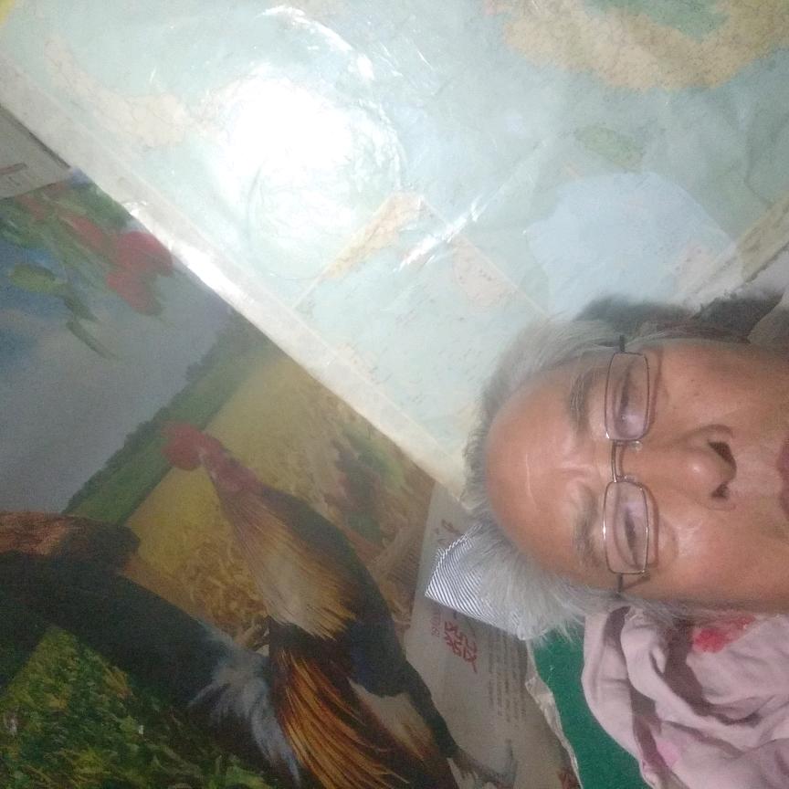 不载头条极速版