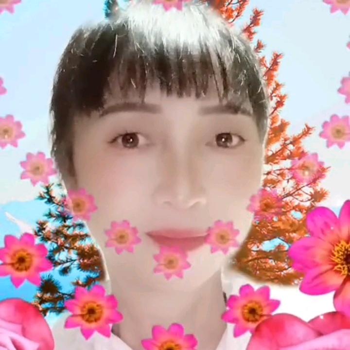 木兮（高）