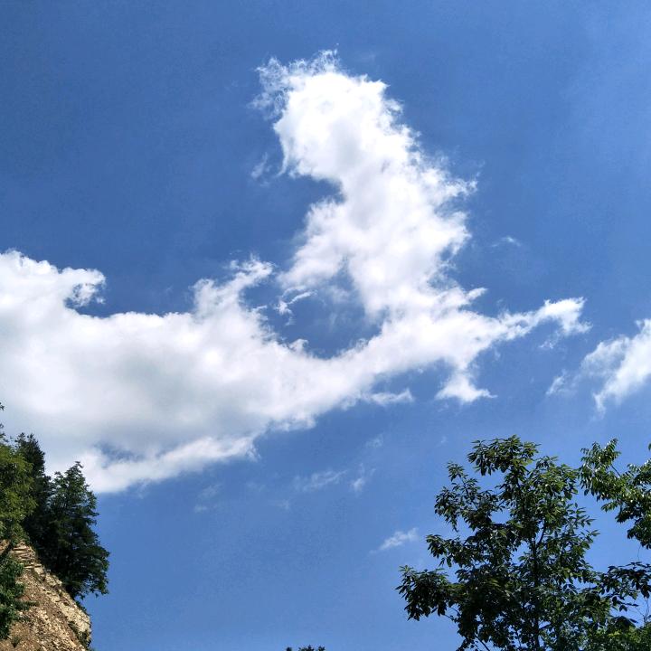 逆风