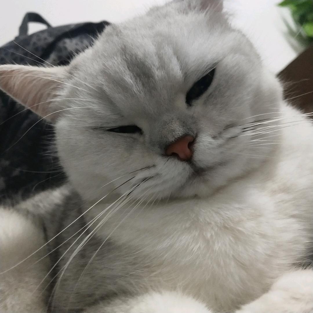@红薯就是地瓜
