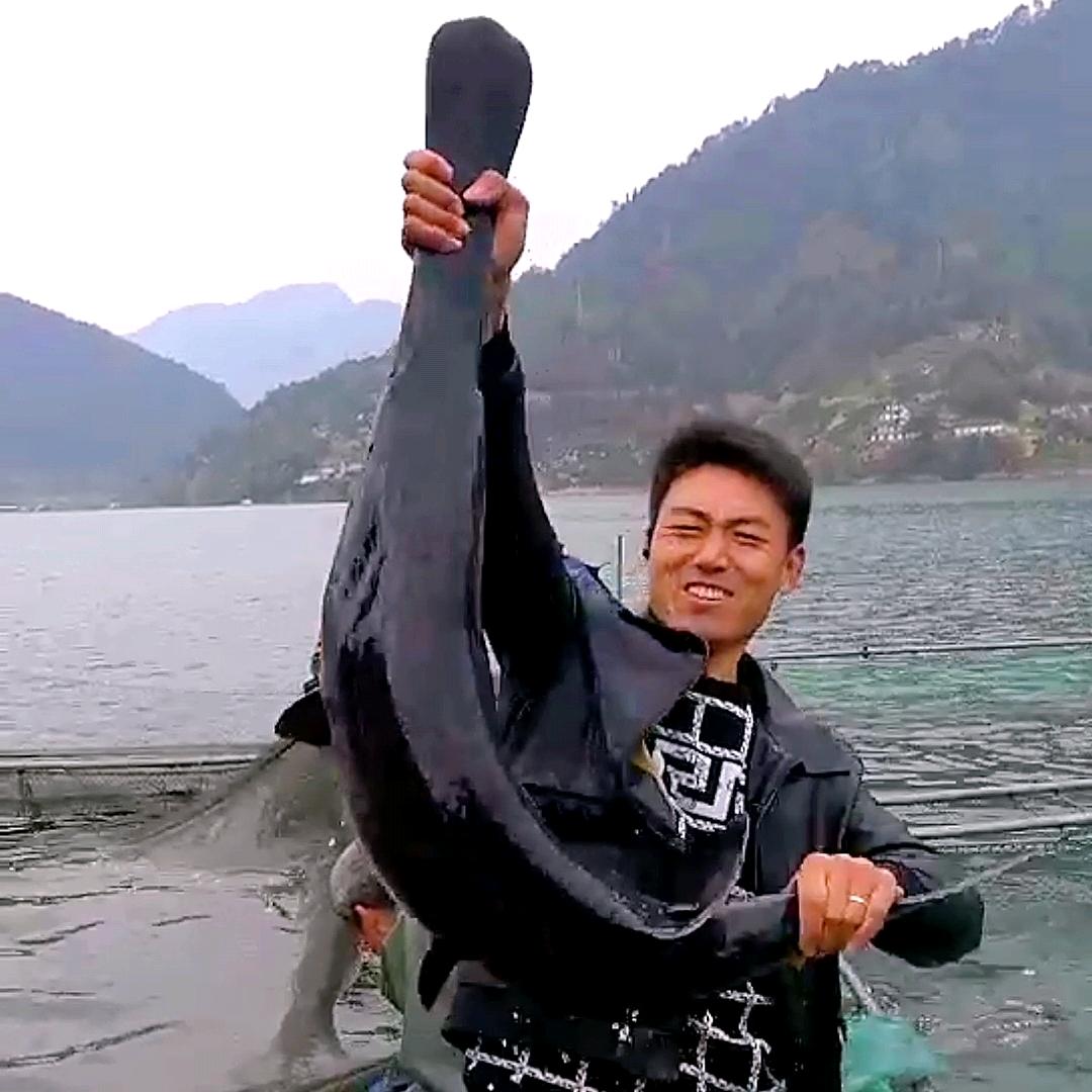 鸭嘴哥渔业