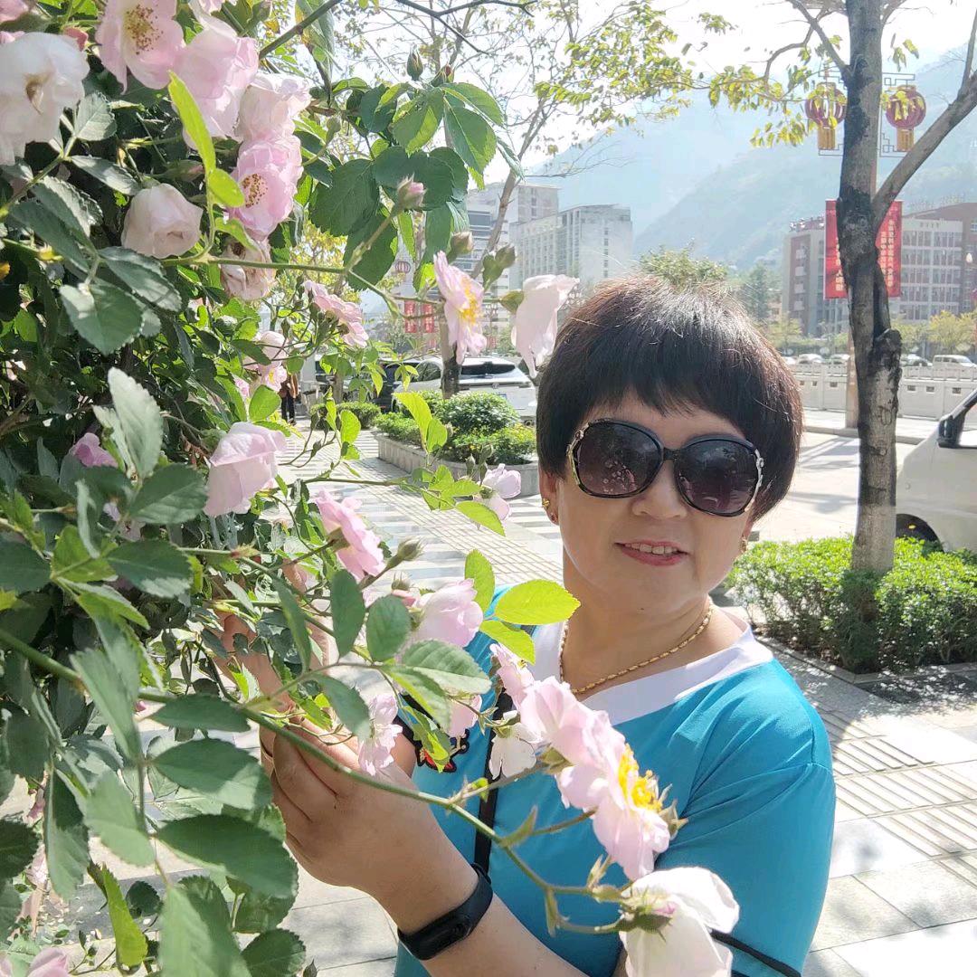 自由飞翔