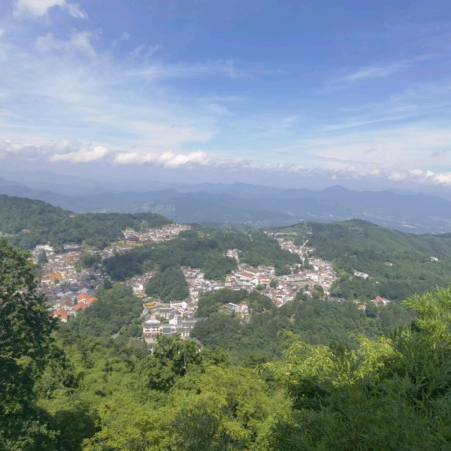 追风