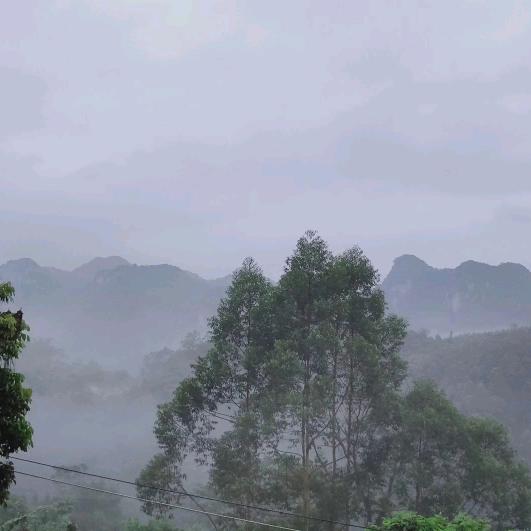 石华生活记