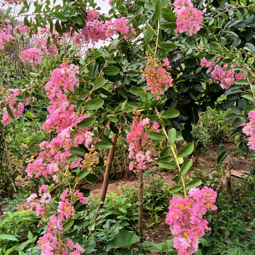 一生有你