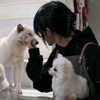 知有♡