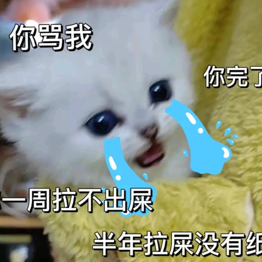 英雄没有闪-南笙難