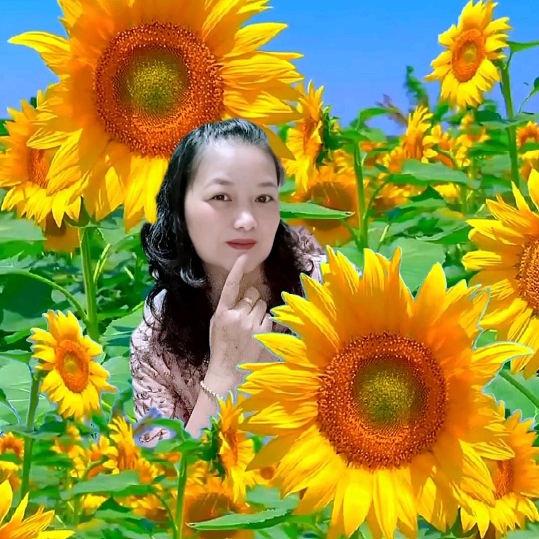 珠珠