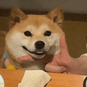 谈言若初
