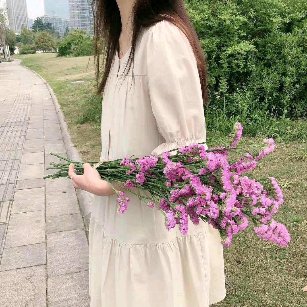 乌密草植物染发头疗