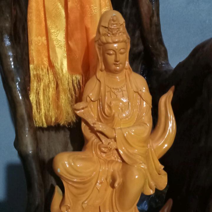 上品人生
