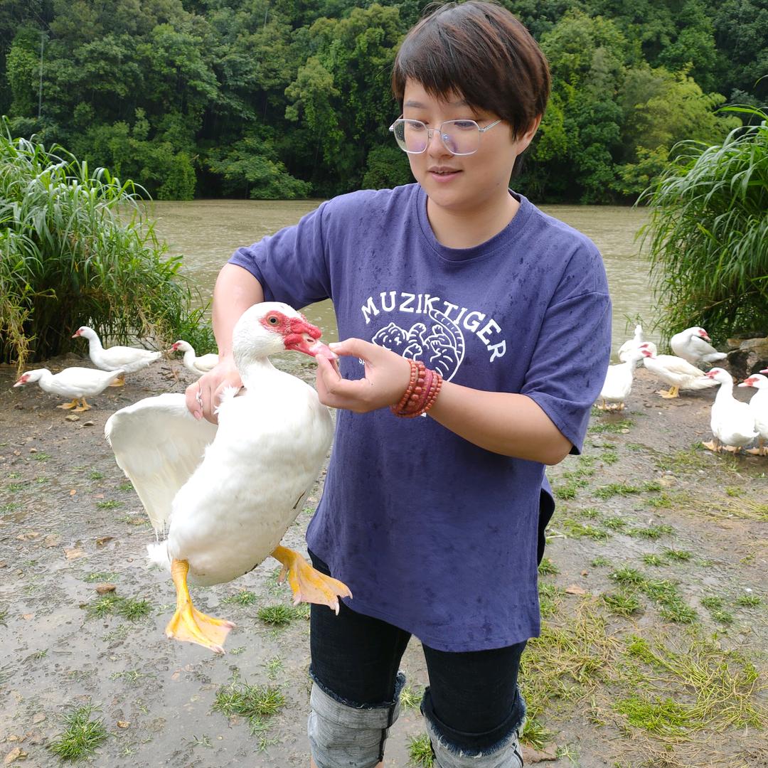 阿梅山野优选