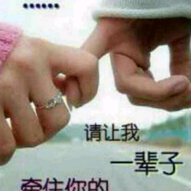 大宝小宝