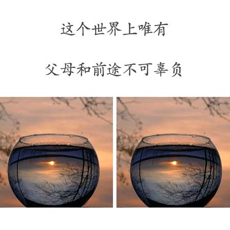 🌸夏🌸雨🍀🍀