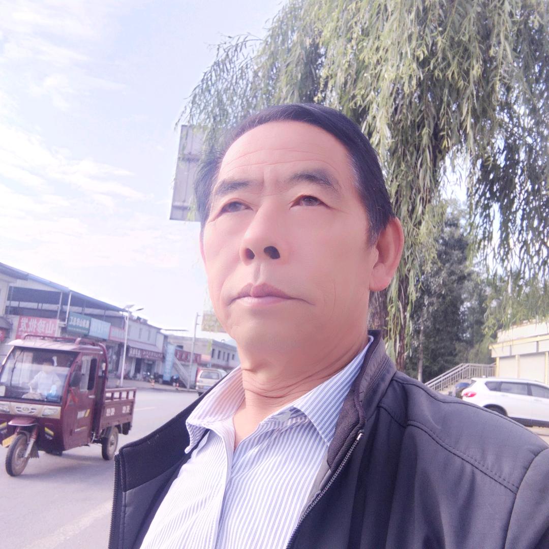 河南坎坷路上的老黄牛