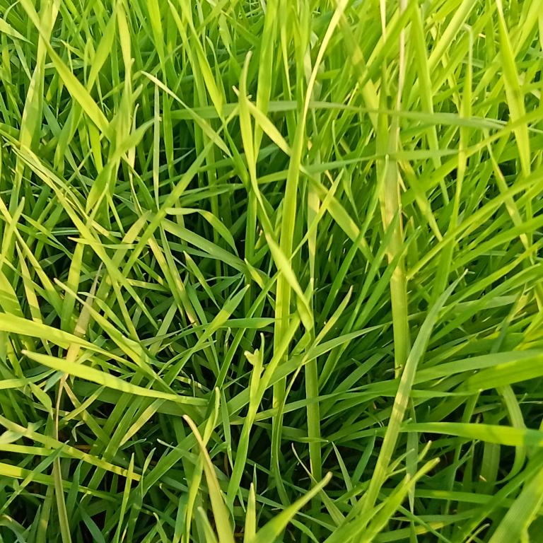 宁静致远🙏🙏