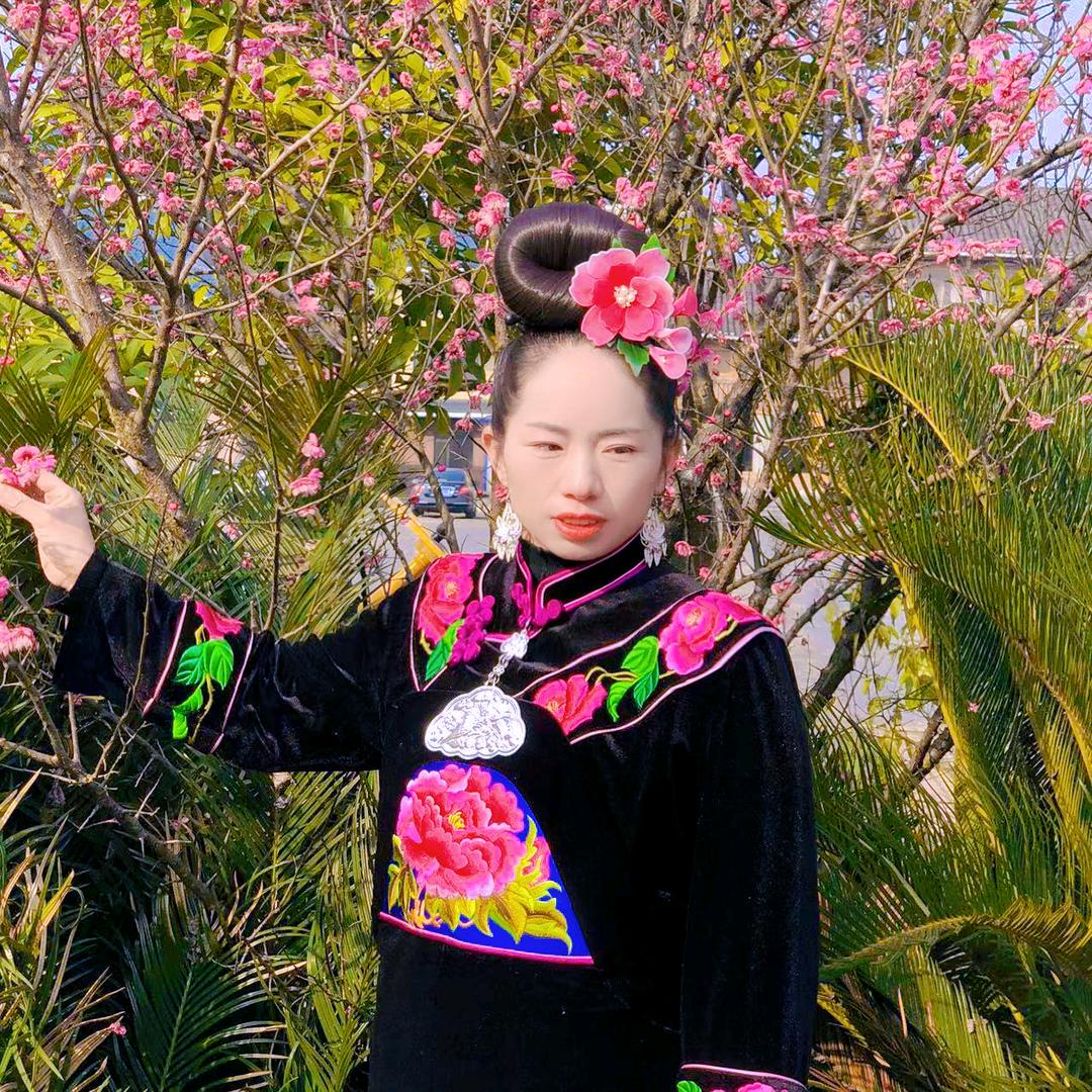 阿兰🌸