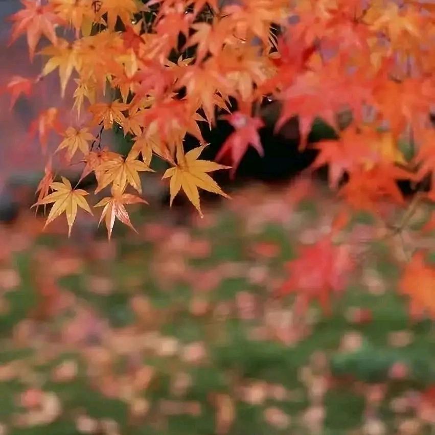 尽力而为