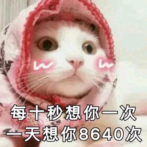 杨杨杨