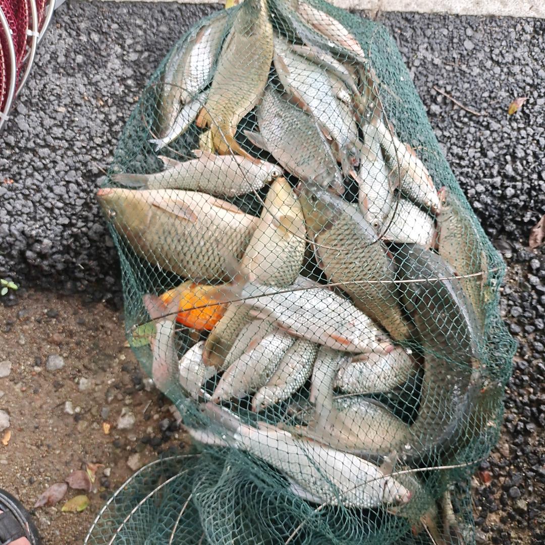 泛黄的回忆 📸