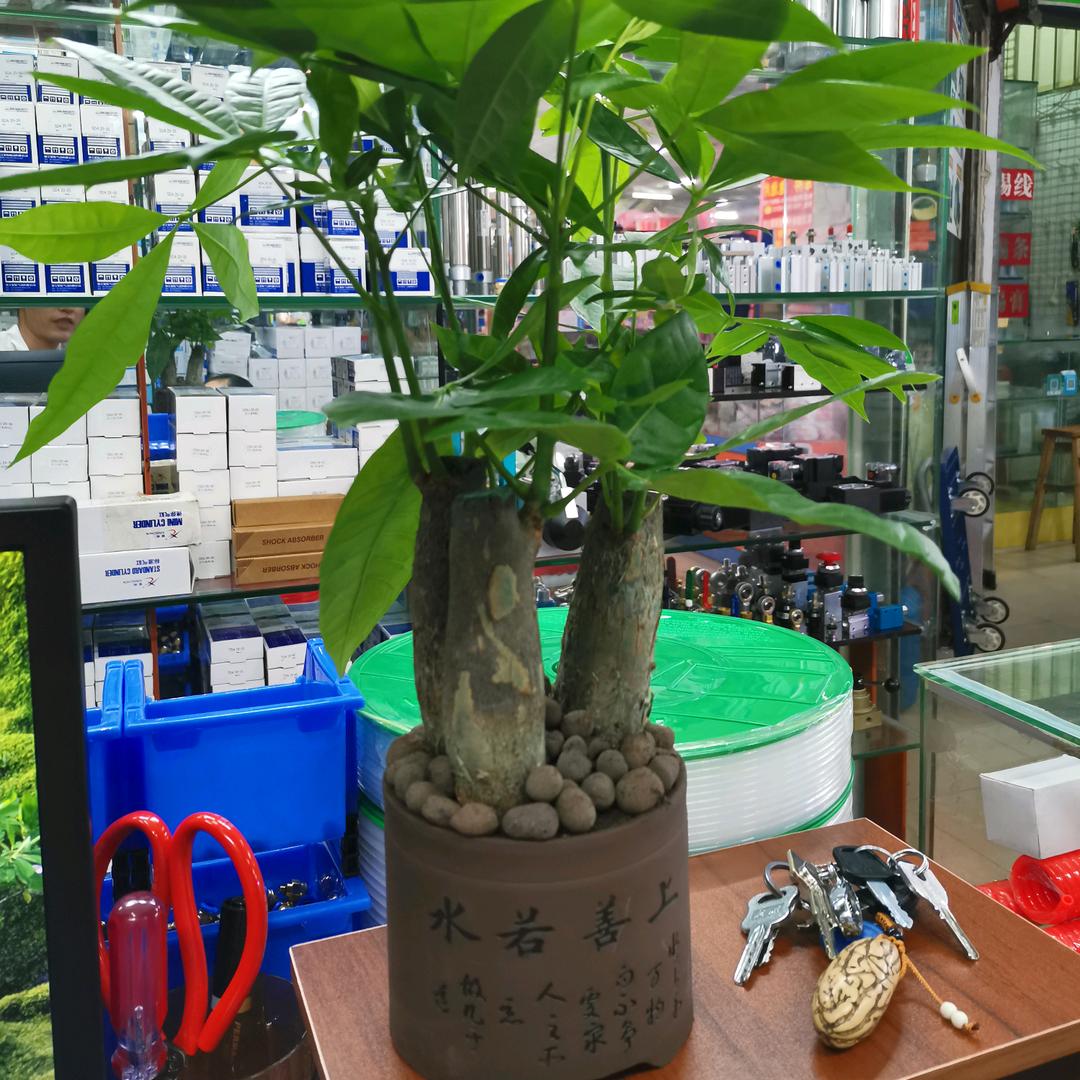 自动化配件的老陈