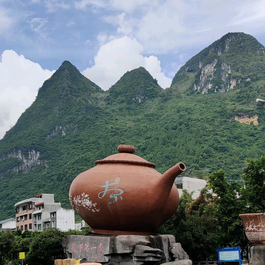 草上飞