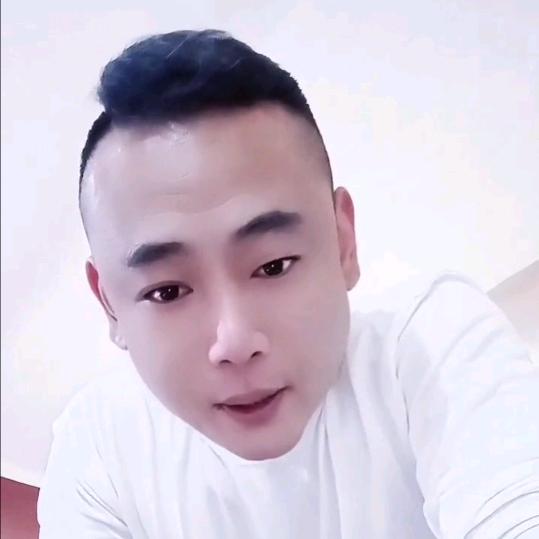 临渭区格力犬斌哥