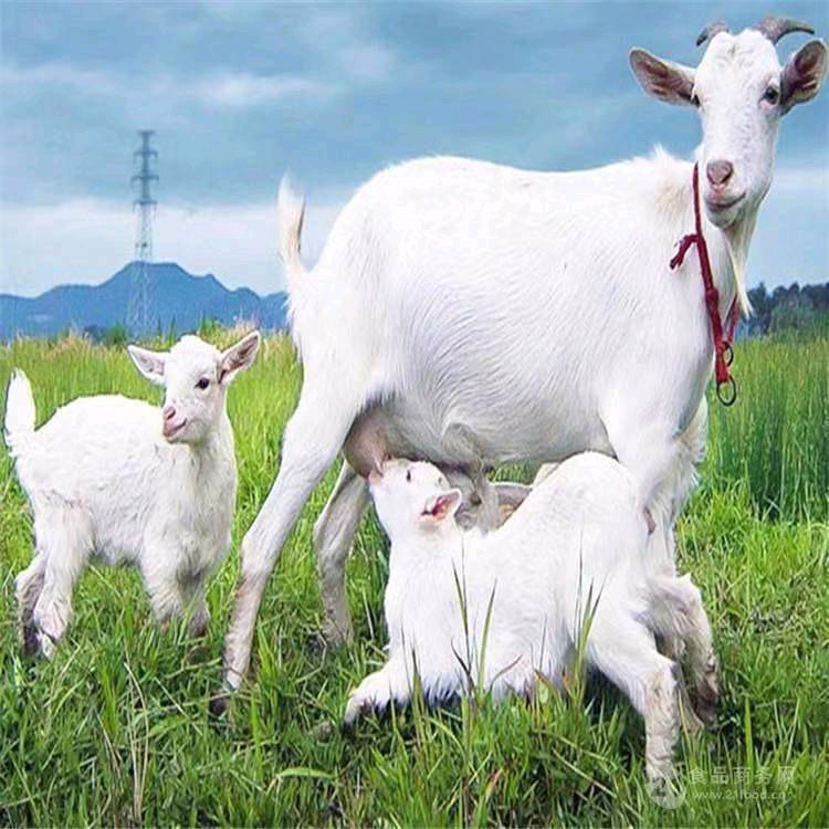 蓝田县厚镇梁峰养殖场: